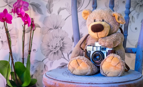 Родинний фотоконкурс «Я+Я=МИ»