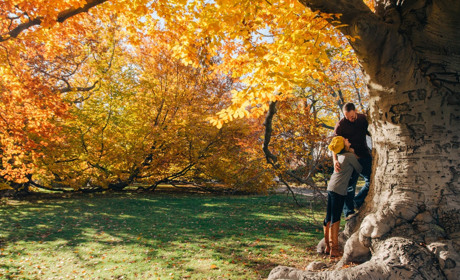 «Найкраща осіння фотосесія»