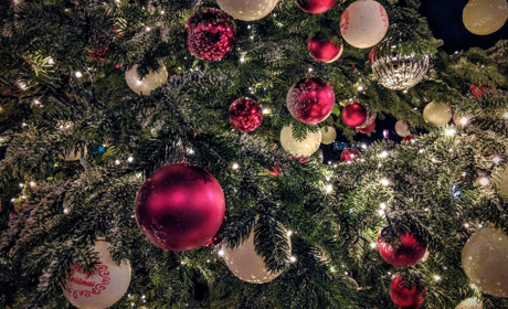 «Найкраща новорічна ялинка»