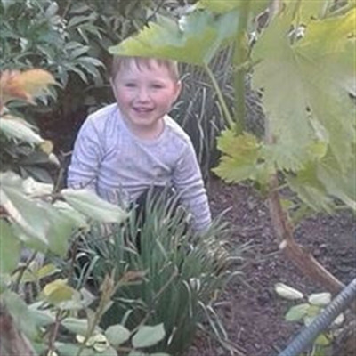 Микола Скумбрій 