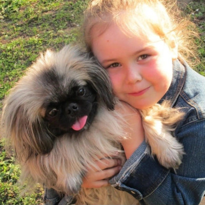 Арчі, 4 роки, м.Ворожба