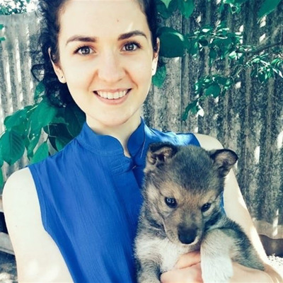 Том, 3 місяці, м.Білопілля