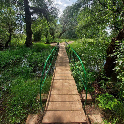 Ірина Савченко