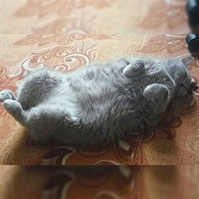 Vanessa Sweet Dream 14 років