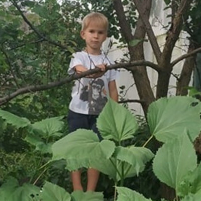 Діма Маліцький