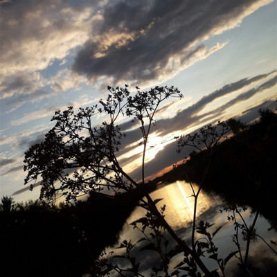 Марина Романюк