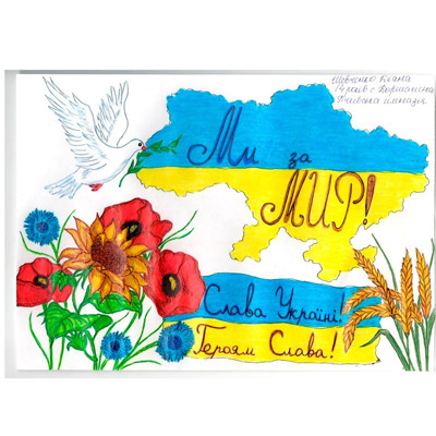 Шевченко Діана, 14 років, с.Коршачина