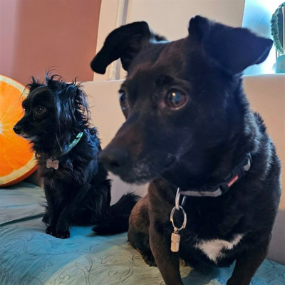 Моніка 10 років та Юджин 7 років