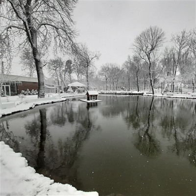 «Зимова казка» 