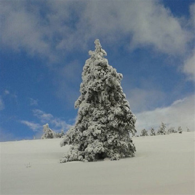 "Зимова казка"