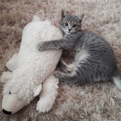 Малюк