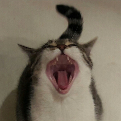 Муся