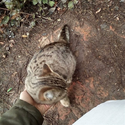 Марися, 9 місяців, м.Білопілля