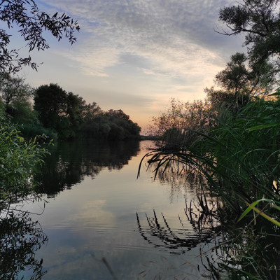 Ірина Драгонер