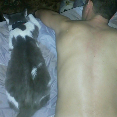 Александр Мещеряков и котик Нуся