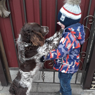 Марк Попович і його друг Арчі