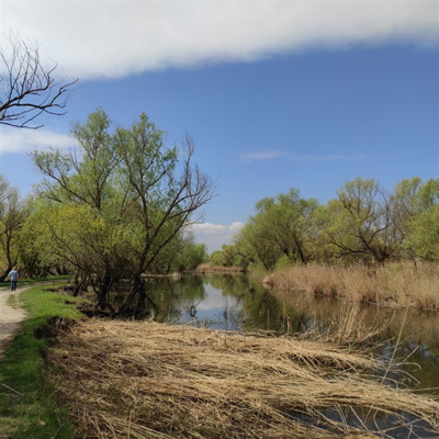 Вадим Ільюк