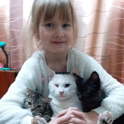 Мурчик, Гуцул та Чорний