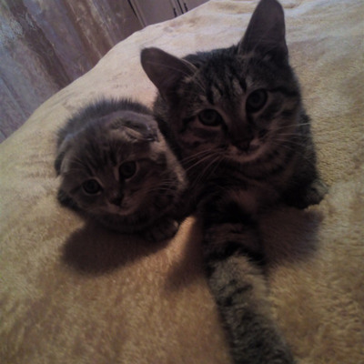 Чича і Вася, м.Ворожба