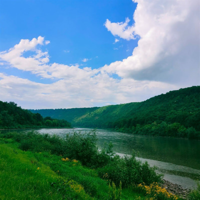 Юлія Крачкова