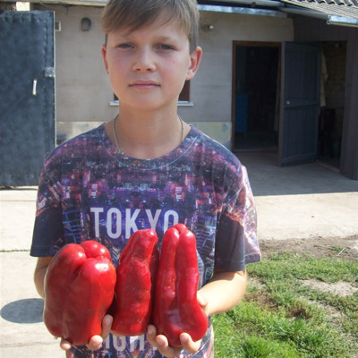 Андрій Тимко, м.Білопілля