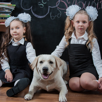 Даша і Ліза Коломацькі та їх лабрадор Дора