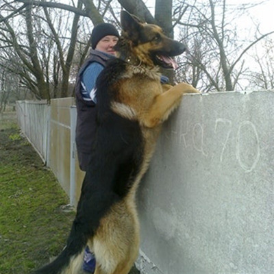 Лариса Музика із німецькою вівчаркою Бакстером