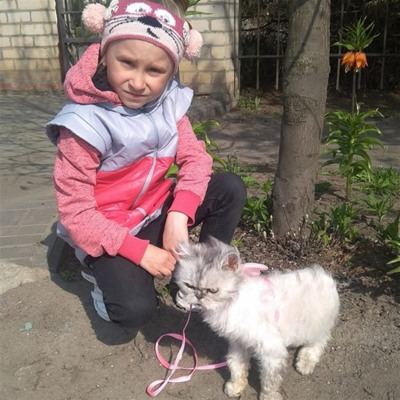 Настя Адаменко зі своєю Мар'яною, кішкою перської породи