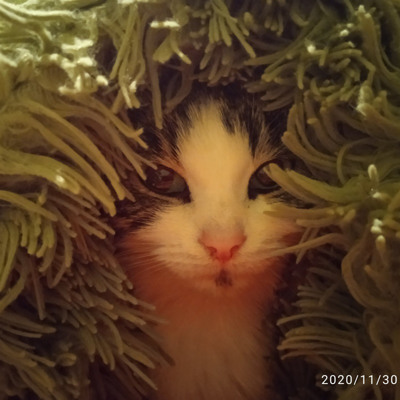 Ася 😍