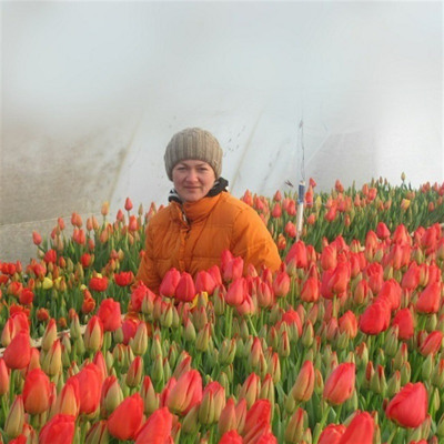 Тюльпановий рай