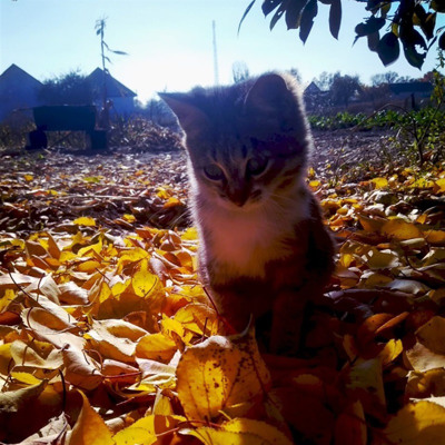 Үйдегі міну порно онлайн Сквиртинг және сперма порно