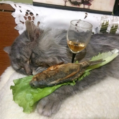 Кєкс
