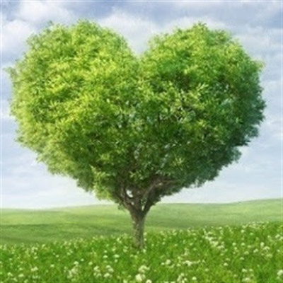 Проєкт «Парк закоханих»