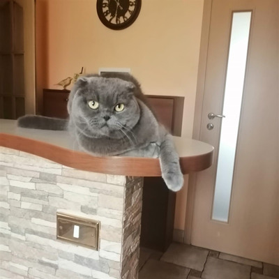 Марта