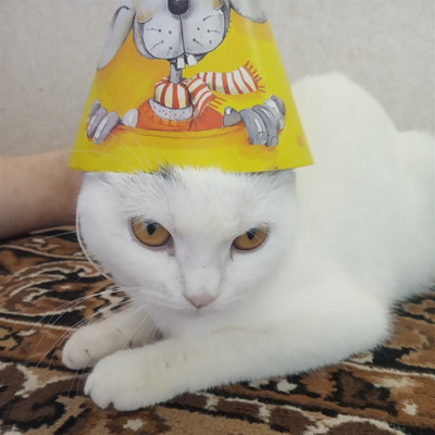 Ася)