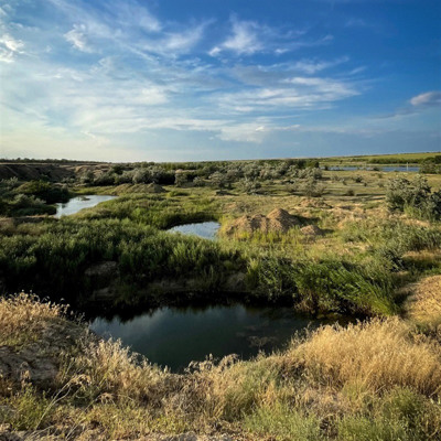 Наталія Тарасенко