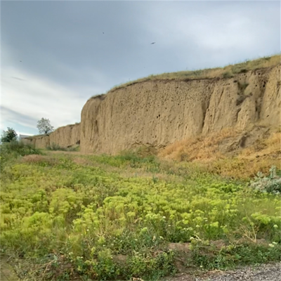  Вікторія Перепилиця