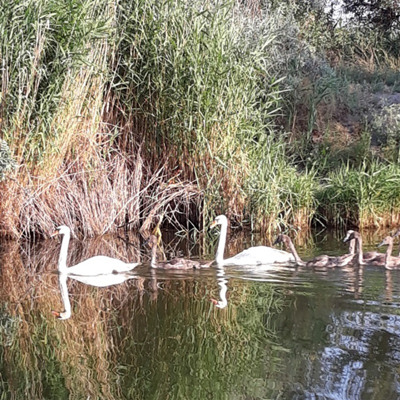 Валерій Марущенко