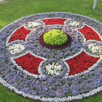 Проєкт «Квітуча  околиця»