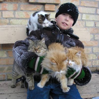 Владислав Носач та улюбленці всієї родини: Тихоня, Мурчик, Рижуля та Рижик