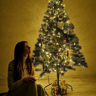 "Дві красуні"