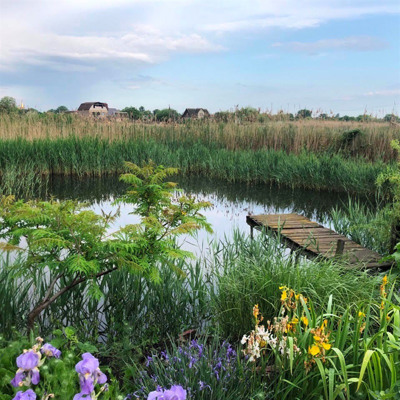 Наталія  Чимпоеш