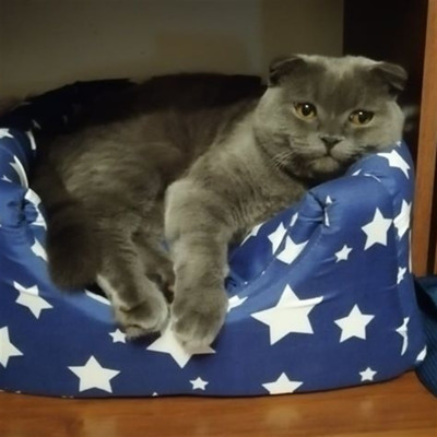 Фунтік, 8 місяців, м.Білопілля