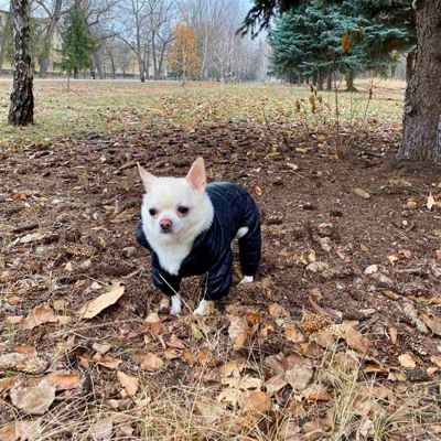 Барні, 5 років, Жовті Води