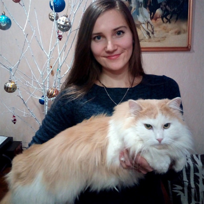 Гришка, 2 роки, м.Білопілля