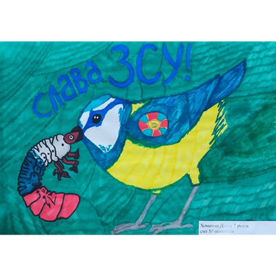 Хоменко Діана, 7 років, смт Миколаївка