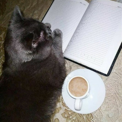 Матильда Дмитриевна