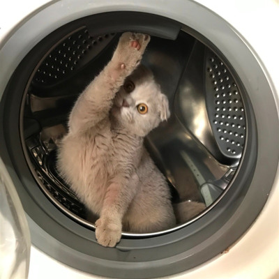 Булочка