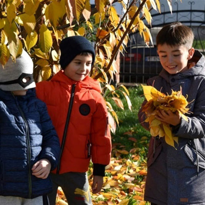 Матвій Кравчук, Макар Вербовецький, Артем Покотецький
