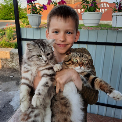 Дмитро Рогожинський